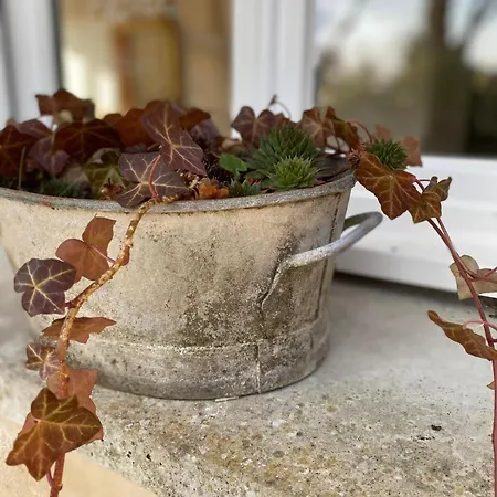 Panzió Maison Centre