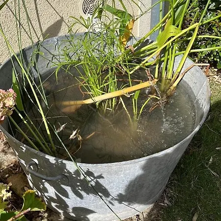 Maison Centre Panzió 3*