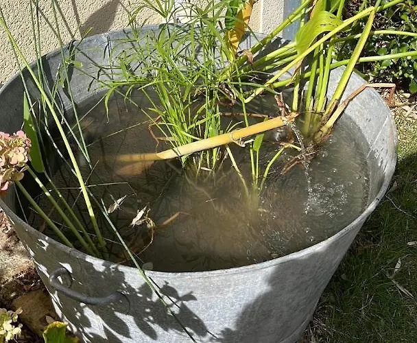 Maison Centre Frühstückspension 3*